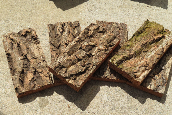1枚　特殊コルク　2層　樹皮　コルク板　10×20ｃｍ（厚約15-30ｍｍ）洋蘭　ビカクシダ　platycerium　小型　ビカクシダ　ラン　コルク_画像1