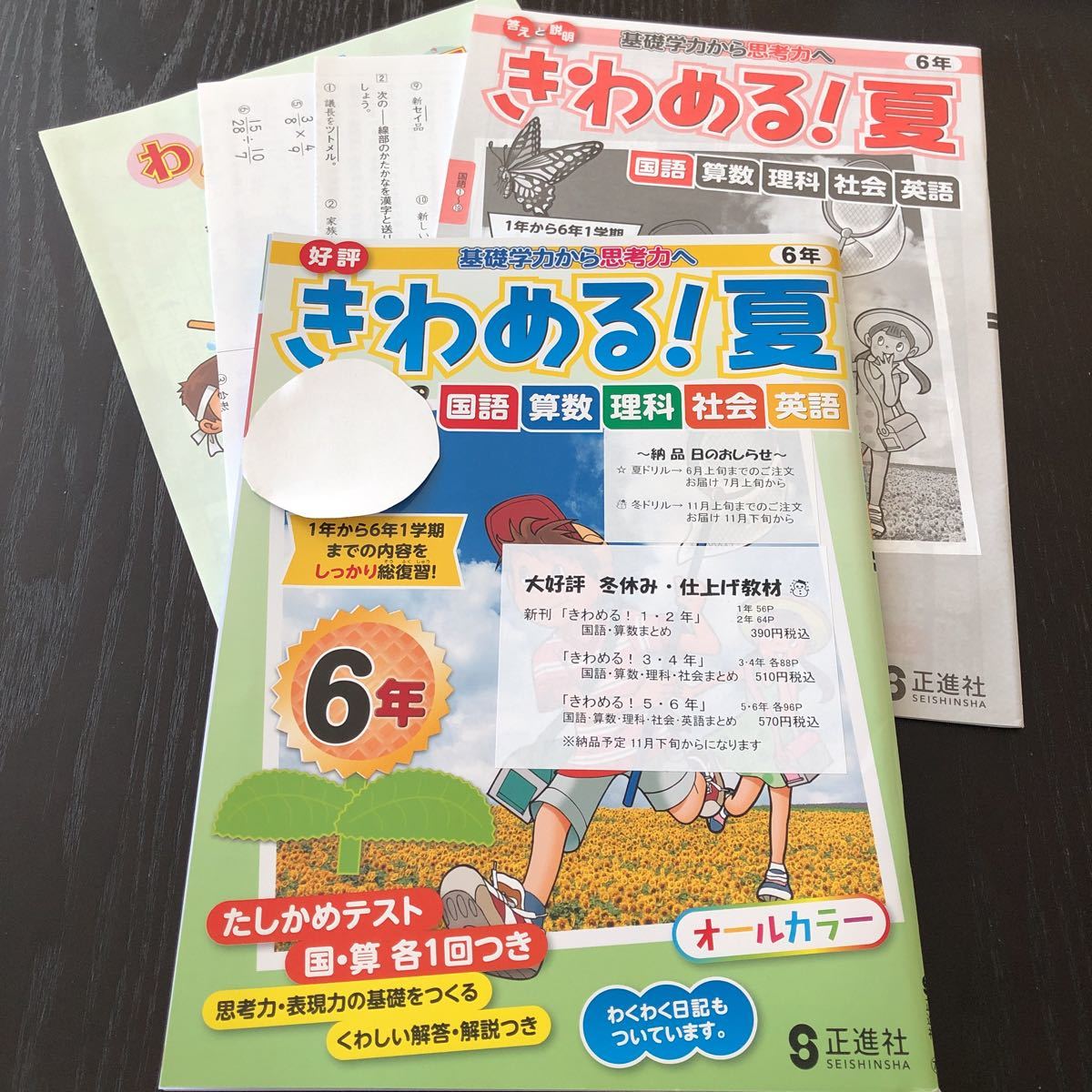 テ78 きわめる夏 6年生 正進社 学習 問題集 ドリル 小学 テキスト テスト 文章問題 家庭学習 国語 理科 算数 社会 英語 勉強 計算 漢字_画像1