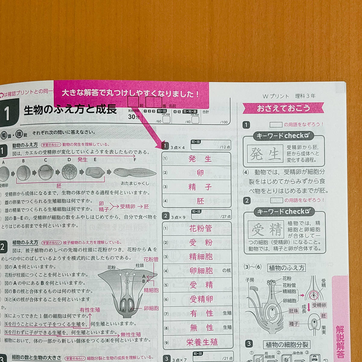 Paypayフリマ 令和4年対応 新学習指導要領 Wプリント 理科 3年 標準版 教師用 新学社 ダブルプリント 理科 答え 解答 観点別評価 標準 標 Paypayフリマ 令和4年対応 新学習指導要領 Wプリント 理科 3年 標準版 教師用 新学社 ダブルプリント 理科 答え 解答 観点別評価 標準 標