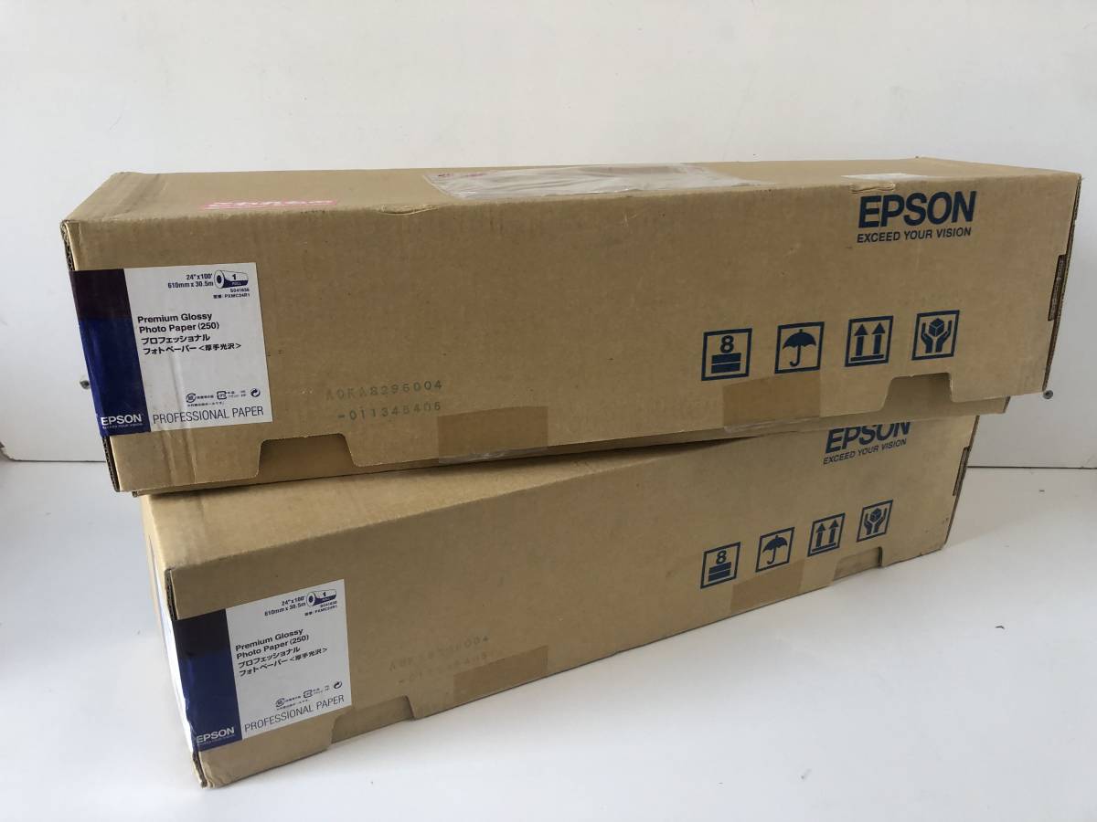 エプソン(EPSON) PXMC24R11 プロフェッショナルフォトペーパー 厚手絹