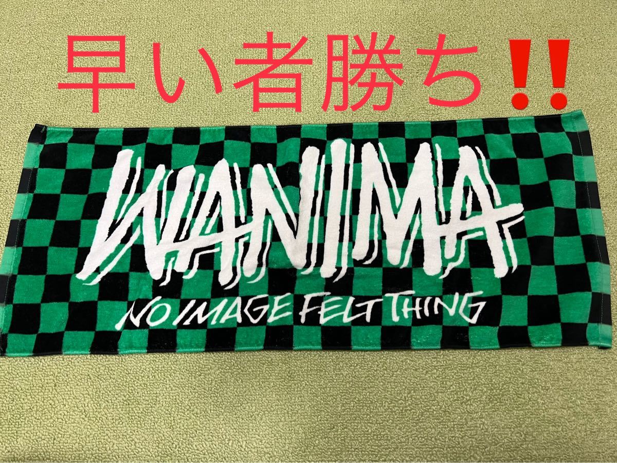 美品【早い者勝ち！】wanima タオル ワニマ フェイスタオル