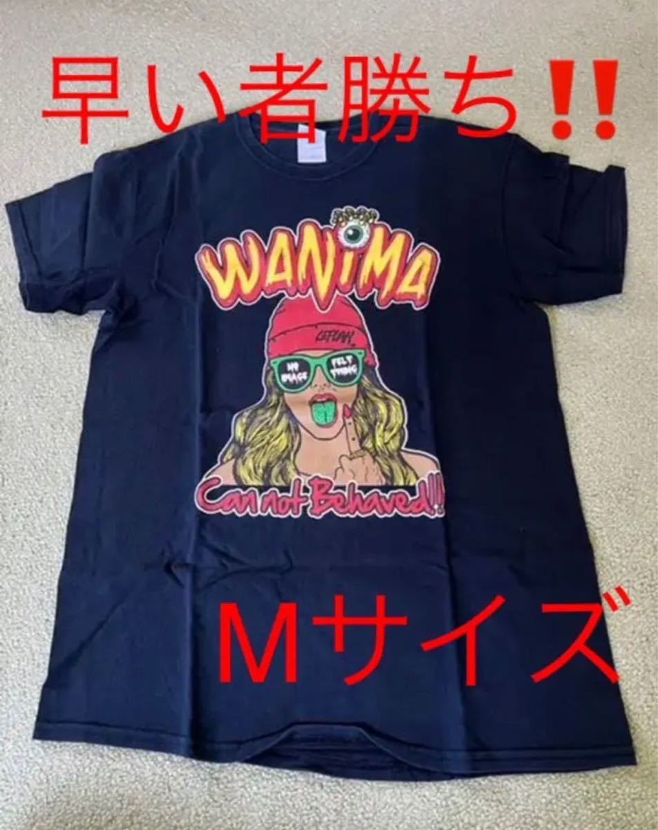 Mサイズ【KO-SHIN着用】初期 激レアwanima Tシャツ 12 ワニマ