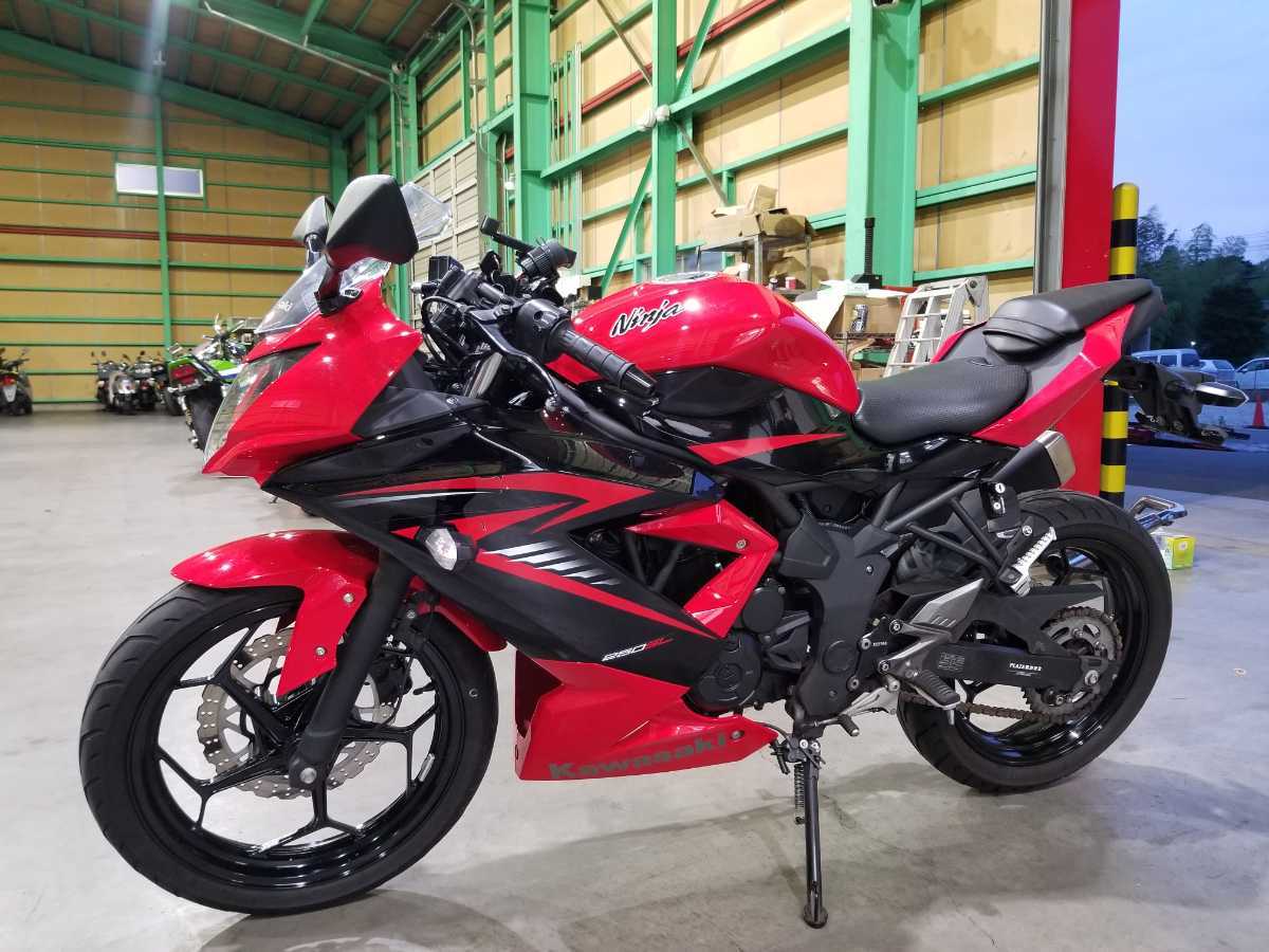2023正規品】 ZZR1400(06年〜) 広角ドレスアップミラー 1000R/親水