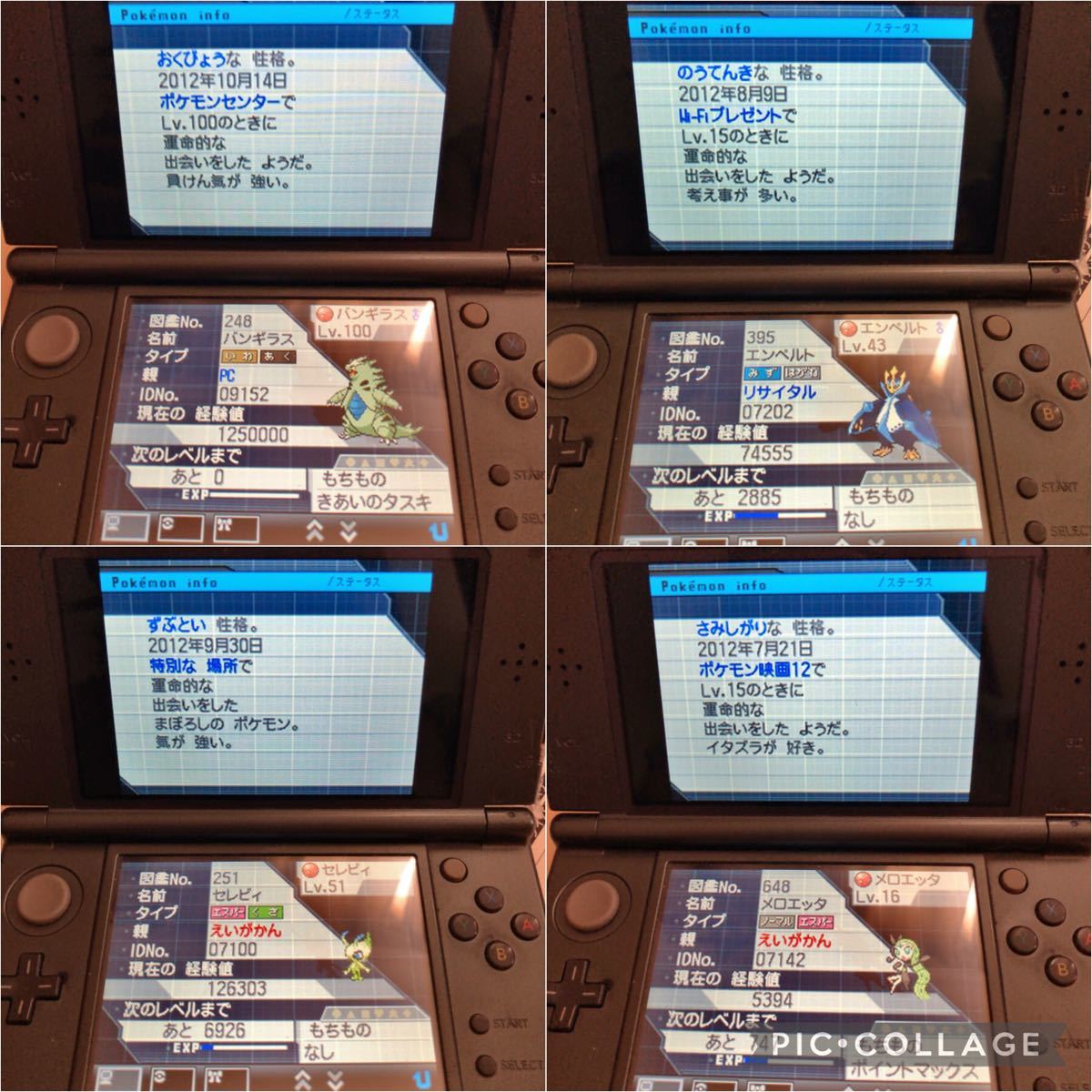 ポケットモンスターブラック2 ニンテンドーDS