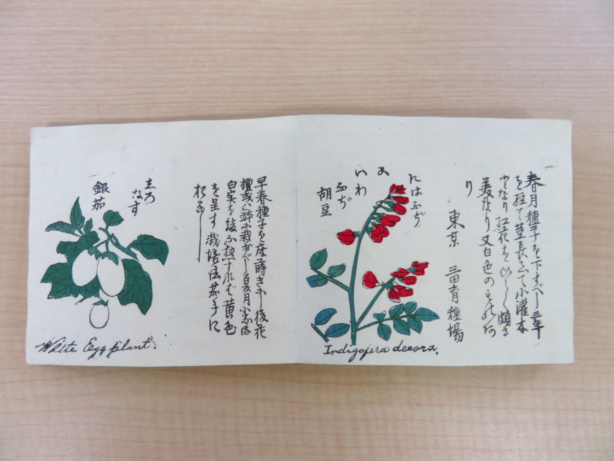 内外百花弁覧』明治31年三田育種場刊 彩色木版画122枚 内外百花弁覧』明治31年三田育種場刊 彩色木版画122枚