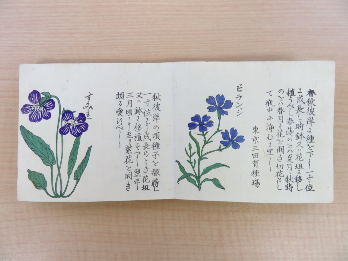 『内外百花弁覧』明治31年三田育種場刊 彩色木版画122枚 草花図譜 植物画譜 明治時代の最重要園芸書・農書 植物学 園芸学 ボタニカルアート_画像4