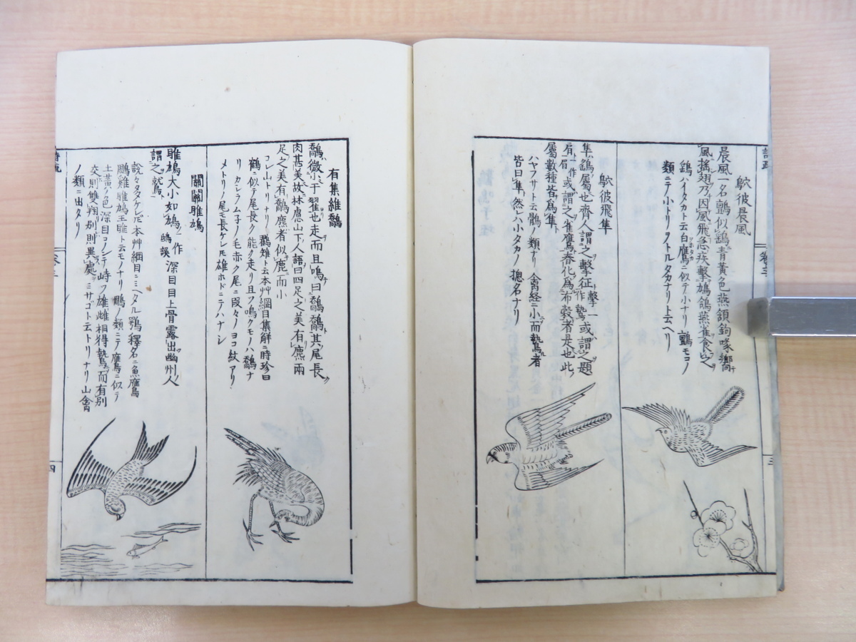 淵在寛『陸氏草木鳥獣虫魚疏図解』（全5冊揃）安永8年北村四郎兵衛 中国呉の陸機「毛詩草木鳥獣虫魚疏」図譜 江戸時代和本 博物学 博物画譜_画像6