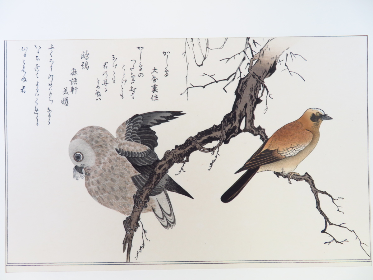  completion goods . many river ..[ picture book 100 thousand bird ]( hand . ukiyoe woodblock print all 15 sheets .)... publish ...2 year the first version. madness . picture book [ 100 thousand bird ] flowers and birds ..