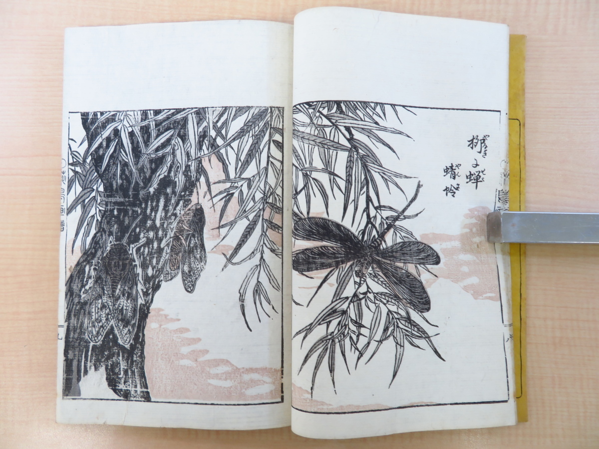 世界の 橘守国『花鳥画譜』求古堂刊 江戸時代前期 彩色木版画譜 画集