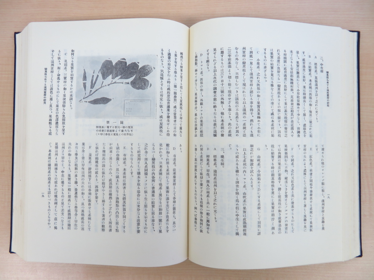 『園芸学会雑誌』（全7冊揃）昭和51年 有明書房刊 植物学・園芸学資料