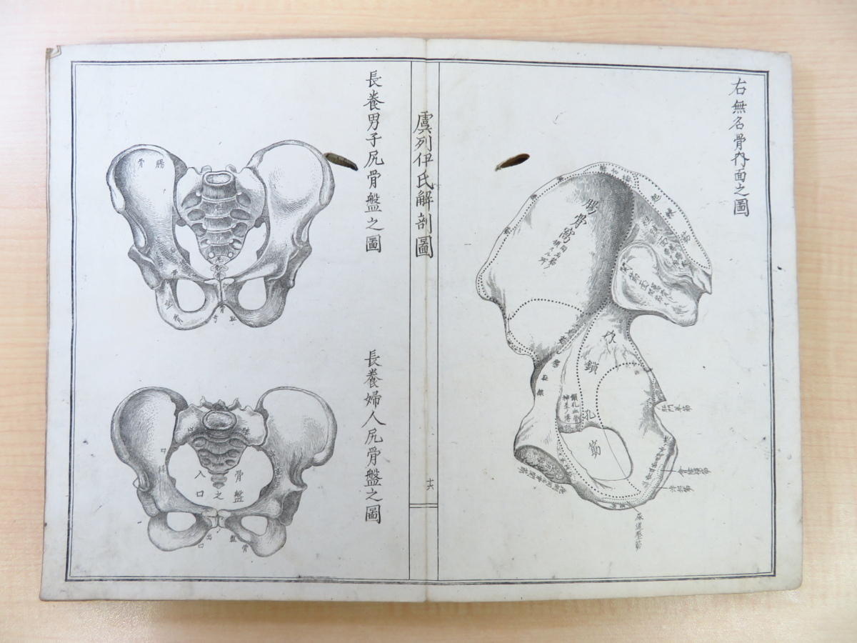 松村矩明『官許 虞列伊氏解剖訓蒙図』(全2冊揃)明治 松村矩明『官許 虞列伊氏解剖訓蒙図』(全2冊揃)明治
