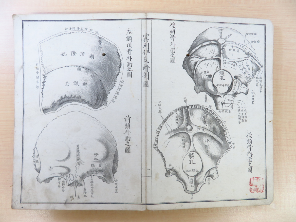 松村矩明『官許 虞列伊氏解剖訓蒙図』(全2冊揃)明治 松村矩明『官許 虞列伊氏解剖訓蒙図』(全2冊揃)明治