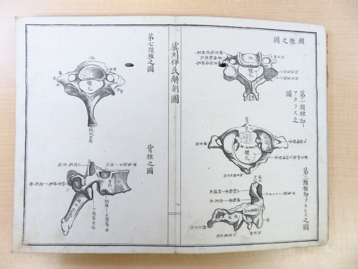 松村矩明『官許 虞列伊氏解剖訓蒙図』(全2冊揃)明治 松村矩明『官許 虞列伊氏解剖訓蒙図』(全2冊揃)明治