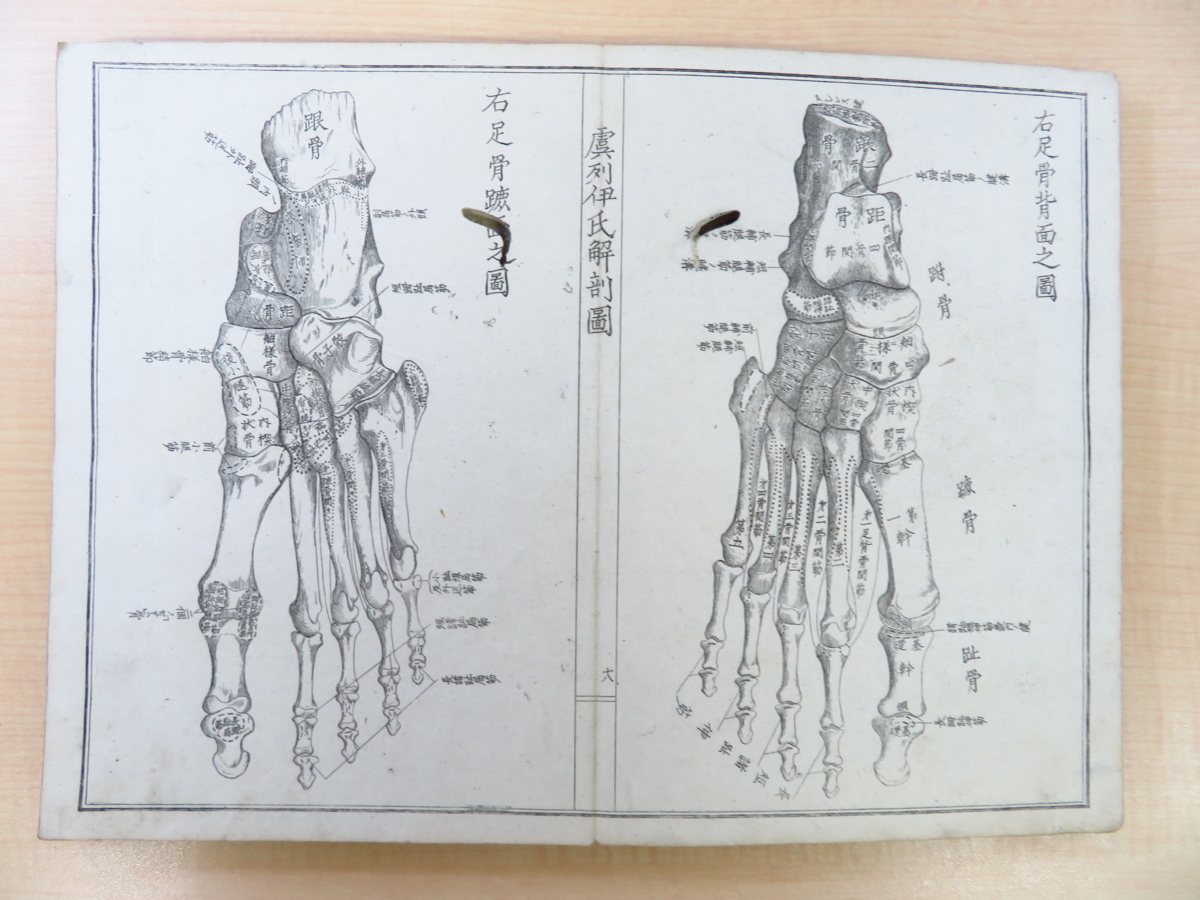 松村矩明『官許 虞列伊氏解剖訓蒙図』(全2冊揃)明治 松村矩明『官許 虞列伊氏解剖訓蒙図』(全2冊揃)明治