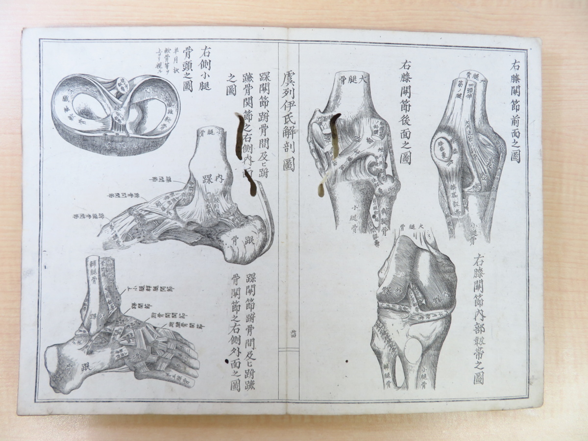 松村矩明『官許 虞列伊氏解剖訓蒙図』(全2冊揃)明治 松村矩明『官許 虞列伊氏解剖訓蒙図』(全2冊揃)明治