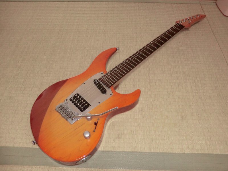 Yahoo!オークション - SELVA Ignite725( )レアなギター Yahoo!オークション - SELVA Ignite725( )レアなギター
