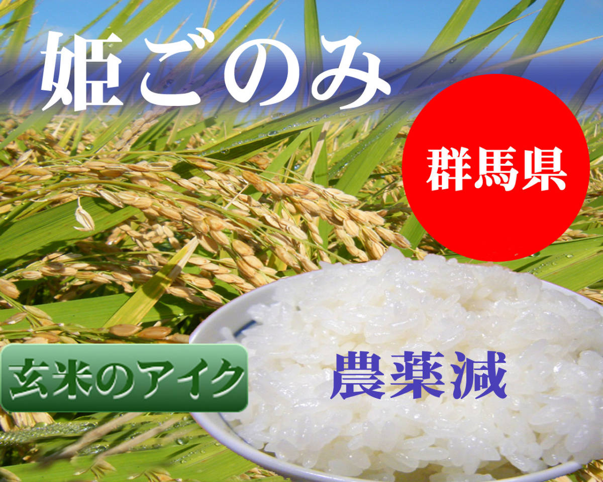玄米25Kg(白米・無洗米へ精米無料)【姫ごのみ】☆令和3年群馬県産