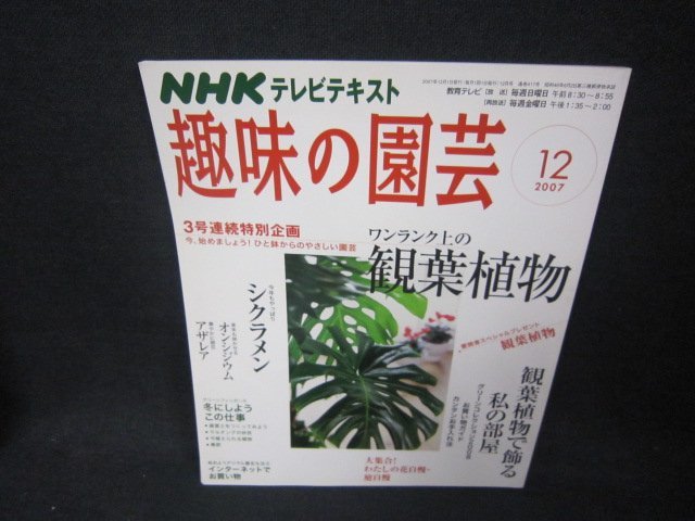 NHK趣味の園芸2007年12月号　観葉植物/CCG_画像1