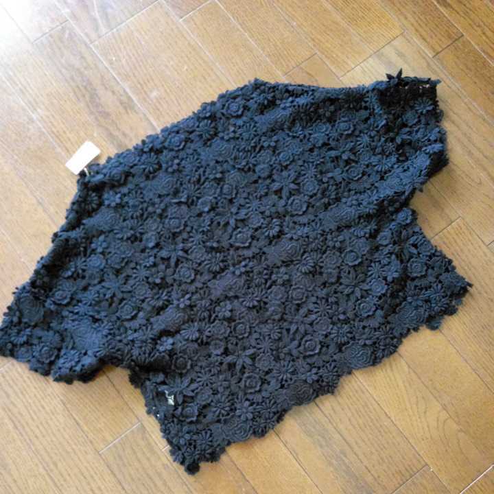 DRESSTERIORドレステリアレース新品ブラウス-