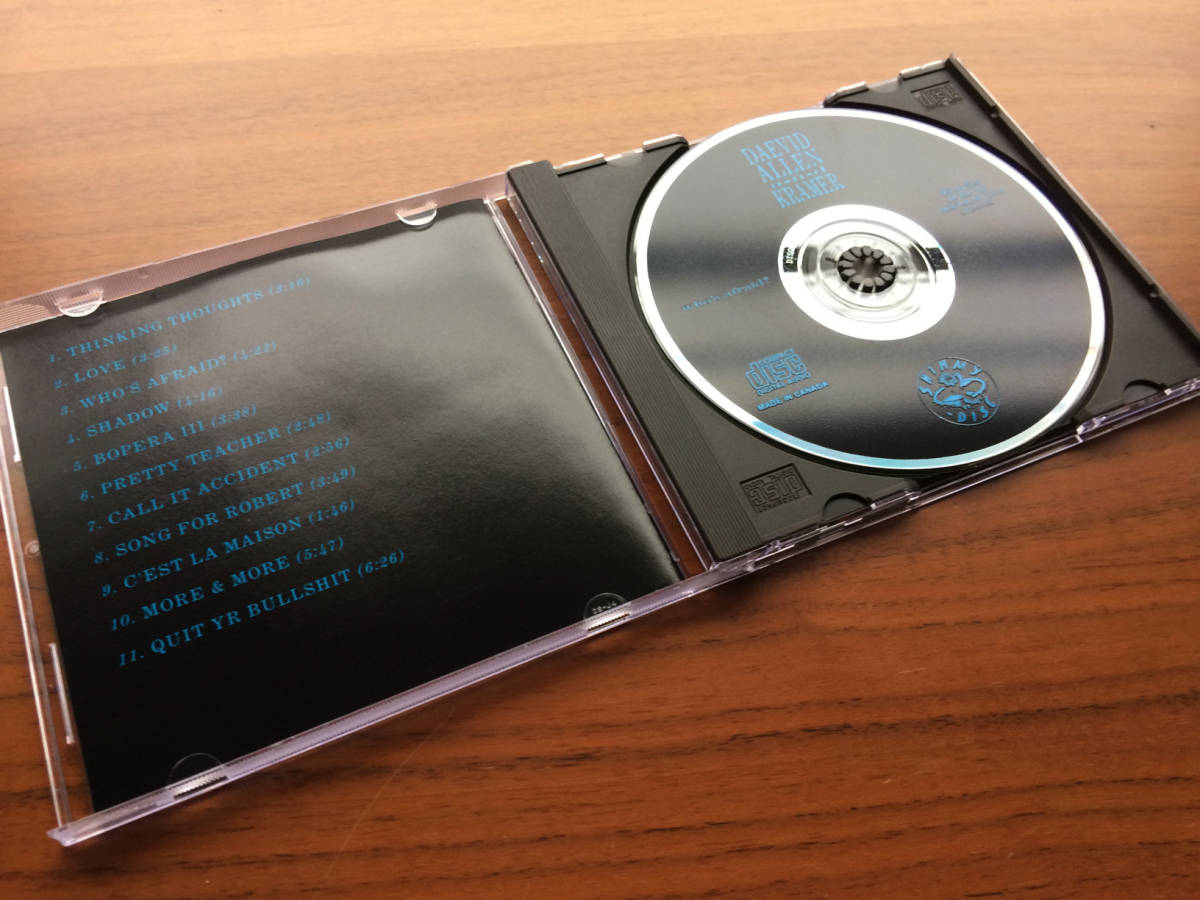 美品 Daevid Allen And Kramer WHO'S AFRAID? CD with David Licht / US Indie, Folk Rock, Prog Rock, Psychedelic Rock_画像2