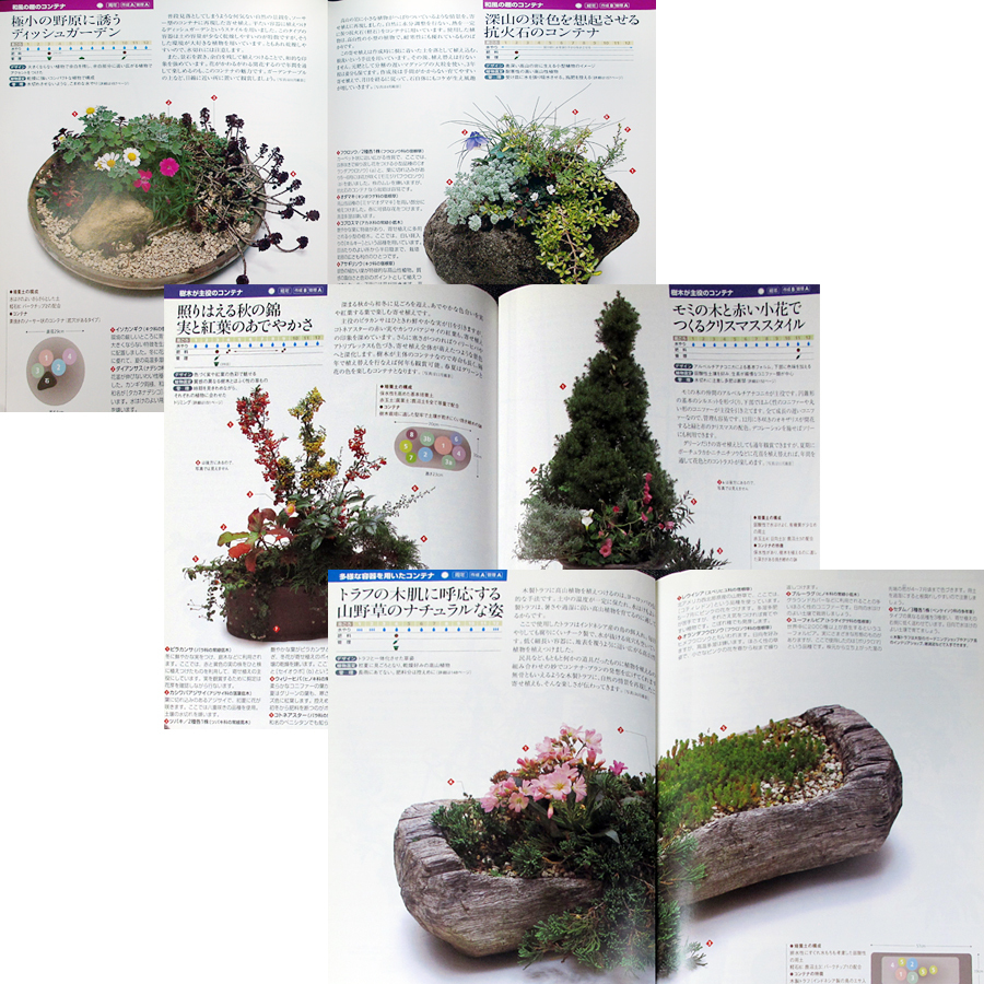  container garden style 60l... gardening textbook making person .. person choice person pot cultivation for earth combination maintenance Kawaguchi .#d