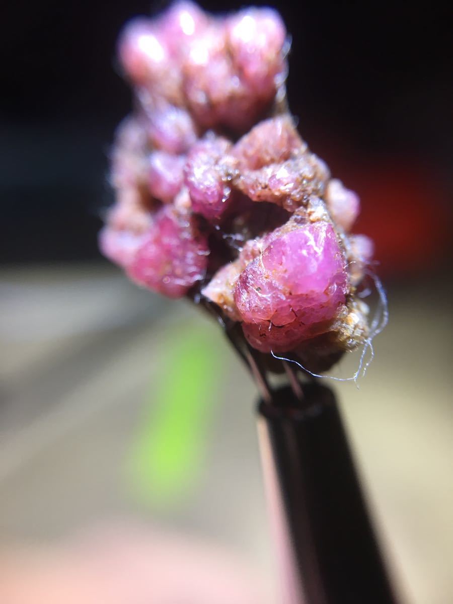 B11 Ruby - sapphire 鉱物 ルース 原石 鋼玉 (13.05ct)_画像5