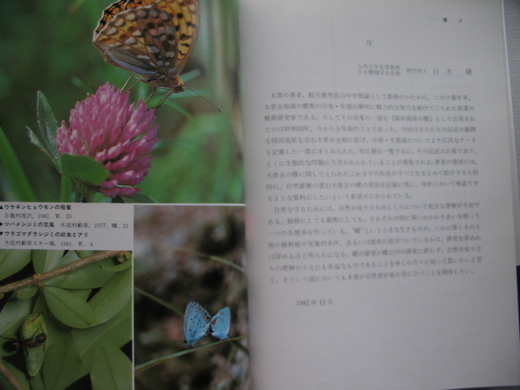 [ tree ... butterfly ]. river . man work tree ... butterfly research .1983 year ( tree ... butterfly research small history / block . another butterfly kind ../ research method and, investigation ground another )
