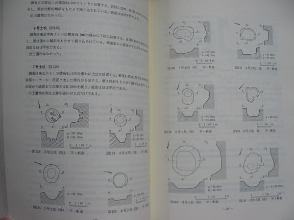 【四国縦貫自動車道埋蔵文化財発掘調査報告書Ⅲ】医王寺遺跡 他_本文例