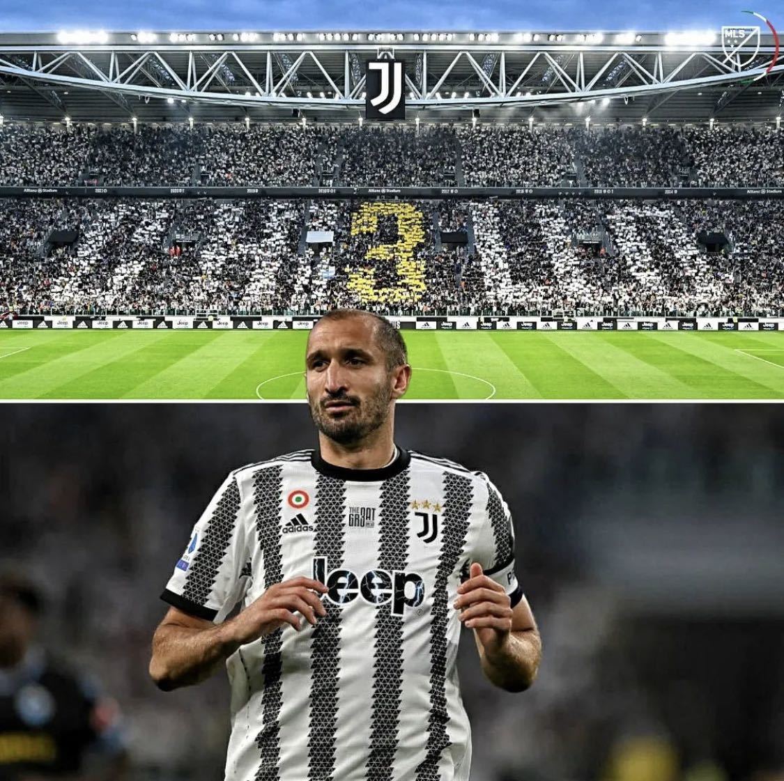 Paypayフリマ 世界限定560セット 21 22 キエッリーニ Limited Edition ユベントス Juventus Home ユニフォーム 正規品 新品未使用 タグ付き