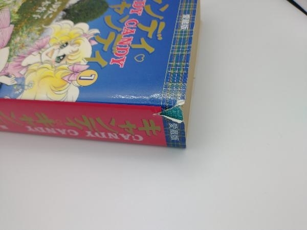 愛蔵版 キャンディキャンディ 全2巻完結セット(全巻セット)｜売買され 