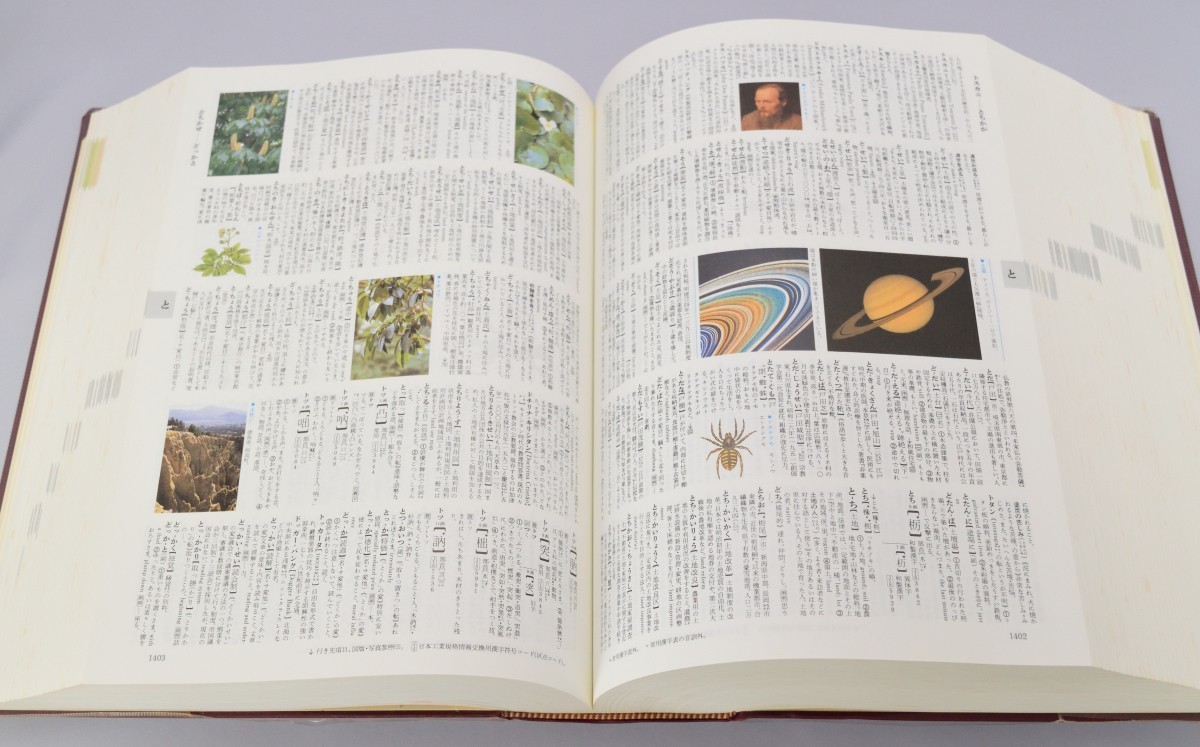 カラー版 日本語大辞典 梅棹忠夫/金田一春彦/他 講談社 1990年_画像6