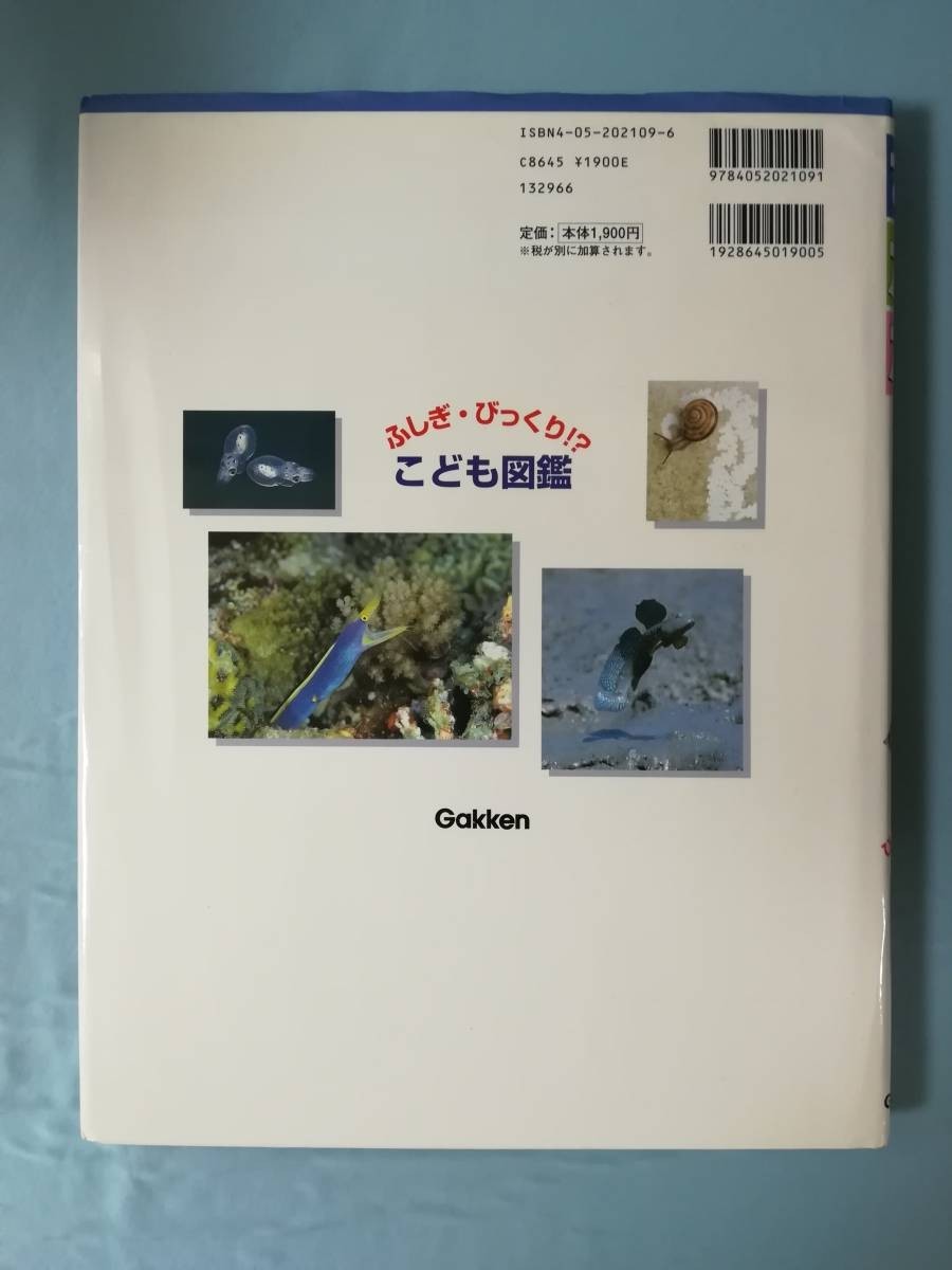 ふしぎ・びっくり こども図鑑 さかな 学習研究社 2007年_画像2