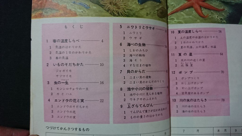 ｖ＃　昭和40年代教科書　新編 新しい理科 4年上　著/茅誠司 服部静夫ほか　東京書籍株式会社　昭和42年　小学校　古書/A16_画像2