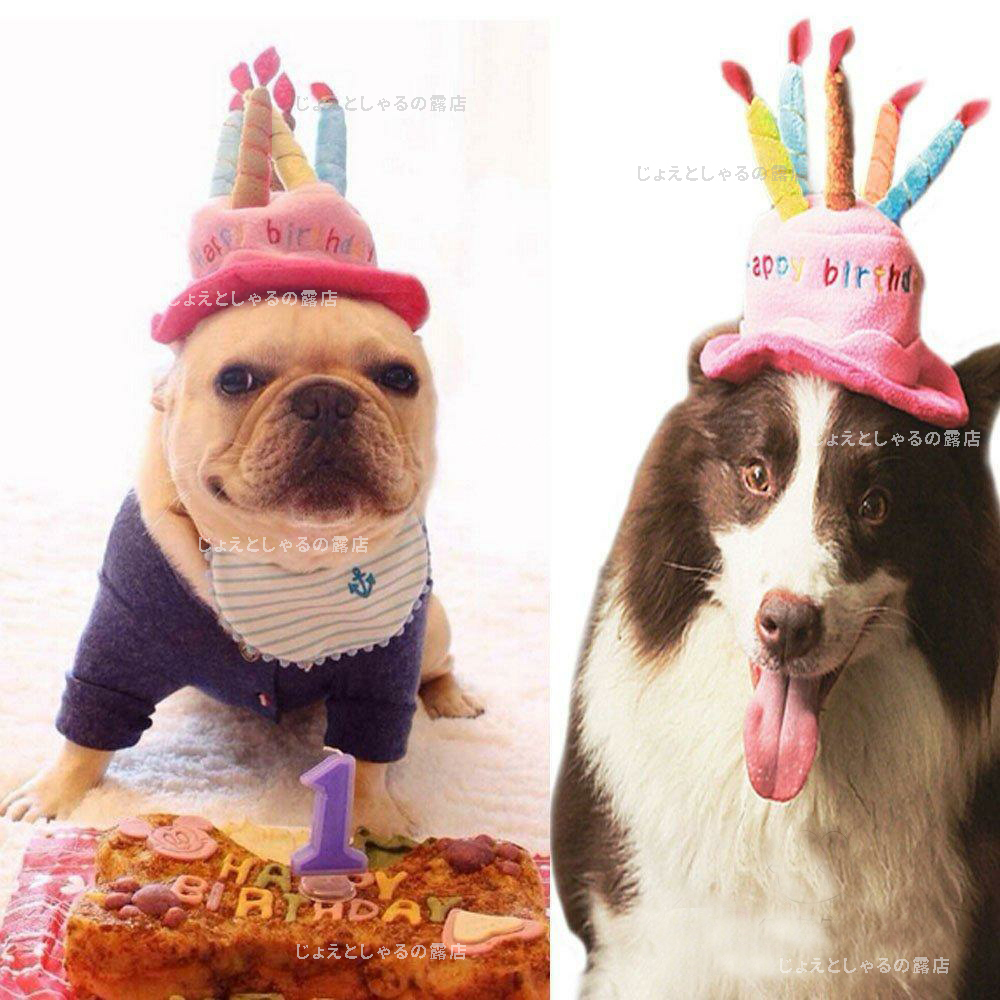 【ブルー】猫犬 誕生日 プレゼント 子供 帽子 ケーキ ロウソク ぬいぐるみ パーディ_画像7
