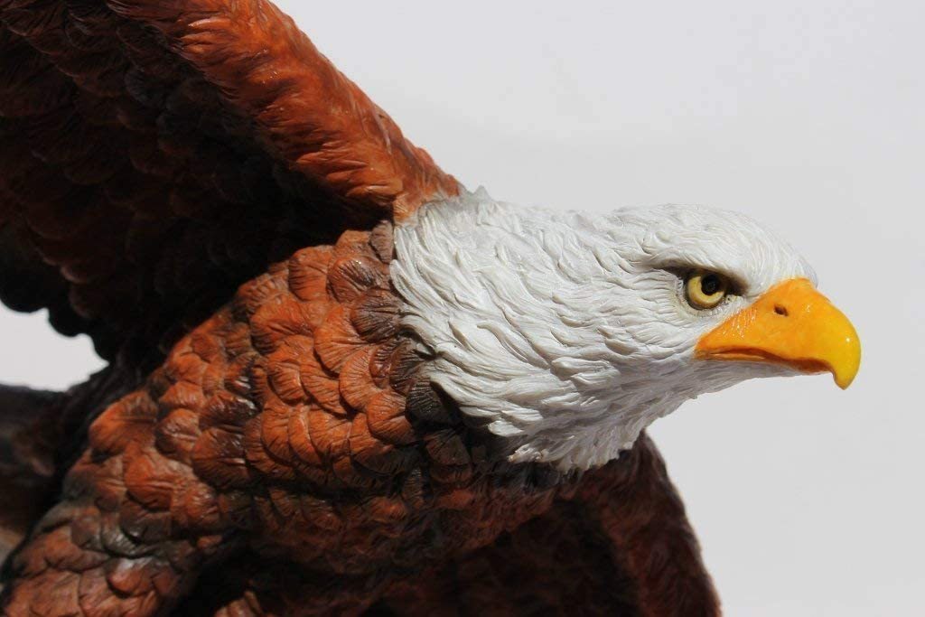 アメリカの国鳥 荘厳に空を飛ぶ白頭鷲(ワシ) 彫刻 彫像/ USA Majestic Flying Bald Eagle(輸入品_画像4