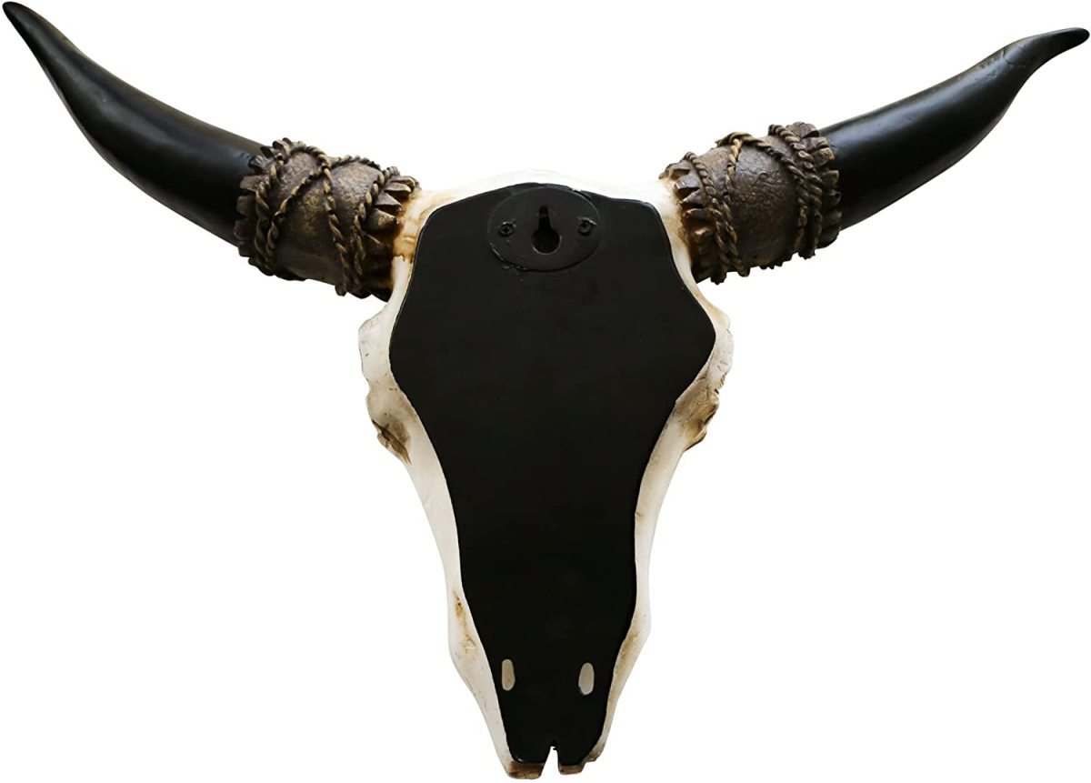 羽の装飾が施された、南西部のロングホーン・バイソン・雄牛の頭蓋骨の壁装飾-彫刻（輸入品_画像3