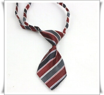  ribbon necktie LT-05