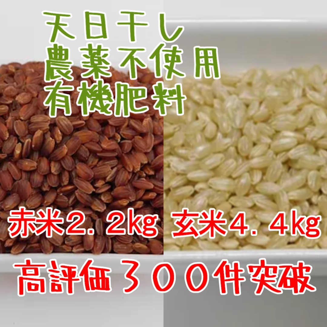 送料無料【天日干し】赤米2.2kg +玄米4.4kg【農家直売】無農薬 有機肥料 発芽玄米 マクロビ オーガニック 雑穀米 黒米_画像1