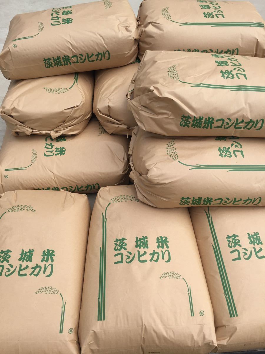 令和3年 茨城 茨城県産 JGAP認定農場　特別栽培米　こしひかり コシヒカリ 無農薬 30kg 低温貯蔵庫 玄米 ご飯_画像2