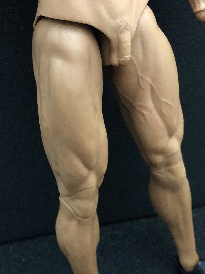送料無料) 1/6 マッスル 男性 素体 ONETOYS ドウェイン 送料無料) 1/6 マッスル 男性 素体 ONETOYS ドウェイン