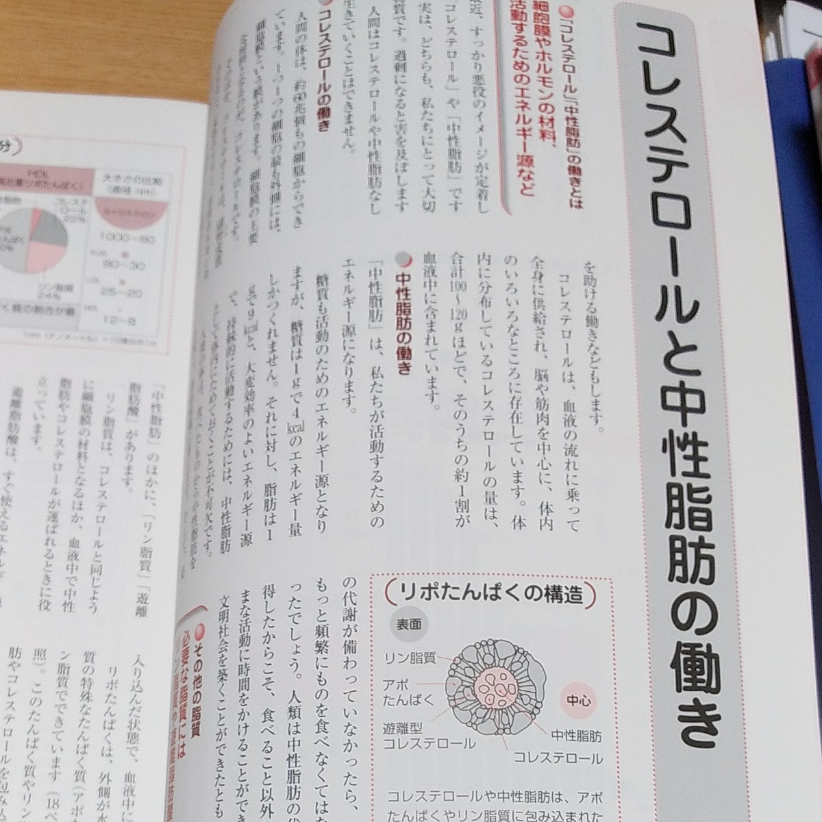 これだけは知っておきたい 高脂血症 血液ドロドロを治す／日本放送出版協会