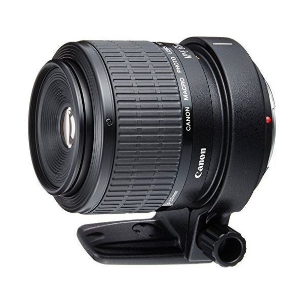 中古 １年保証 美品 Canon MP-E 65mm F2.8 1-5X マクロフォト