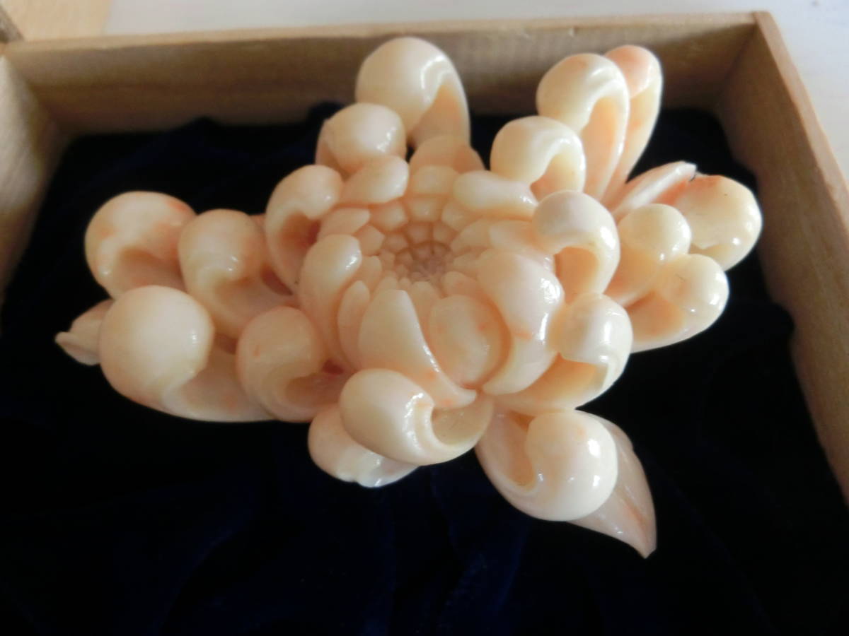 アンティーク サンゴ 珊瑚 彫刻 菊 ブローチ 大 重さ 73g よこ 8.3 ...
