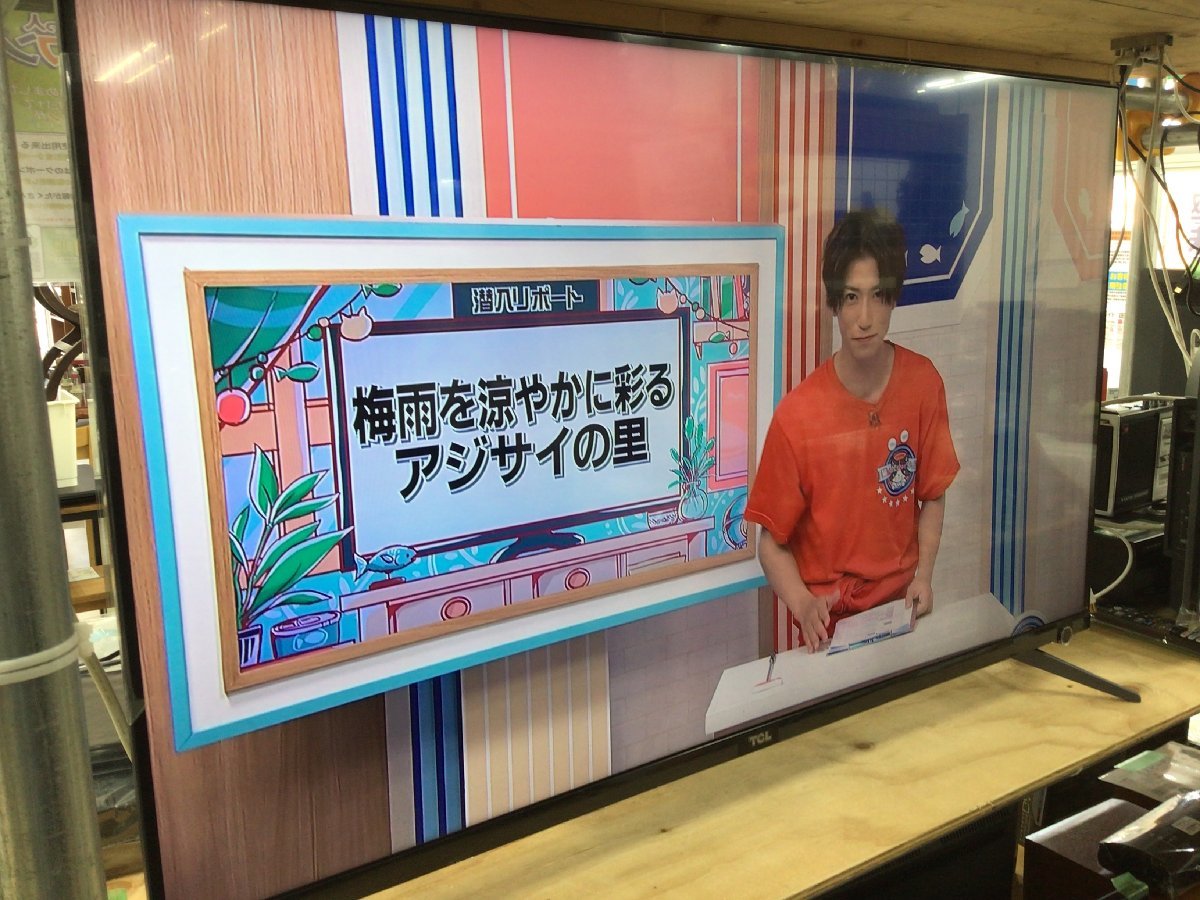 しています】 TCL 43P725B 43型 Androidシステム搭載4K液晶テレビ 取引