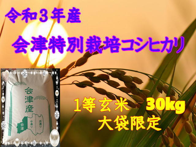 【玄米30kg】令和３年産　会津特別栽培コシヒカリ 大袋のみ（精米・小分け不可）　東北～関西送料無料_画像1