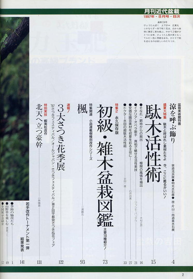 【近代盆栽】1997.08★駄木活用術 ★初級雑木盆栽図鑑_画像2