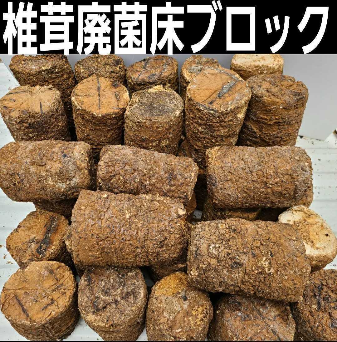 カブトムシ幼虫の栄養強化に！椎茸廃菌床【28ブロック】発酵マットに埋め込むと幼虫が潜り込みモリモリ食べて大きくなる！クヌギ100％原料