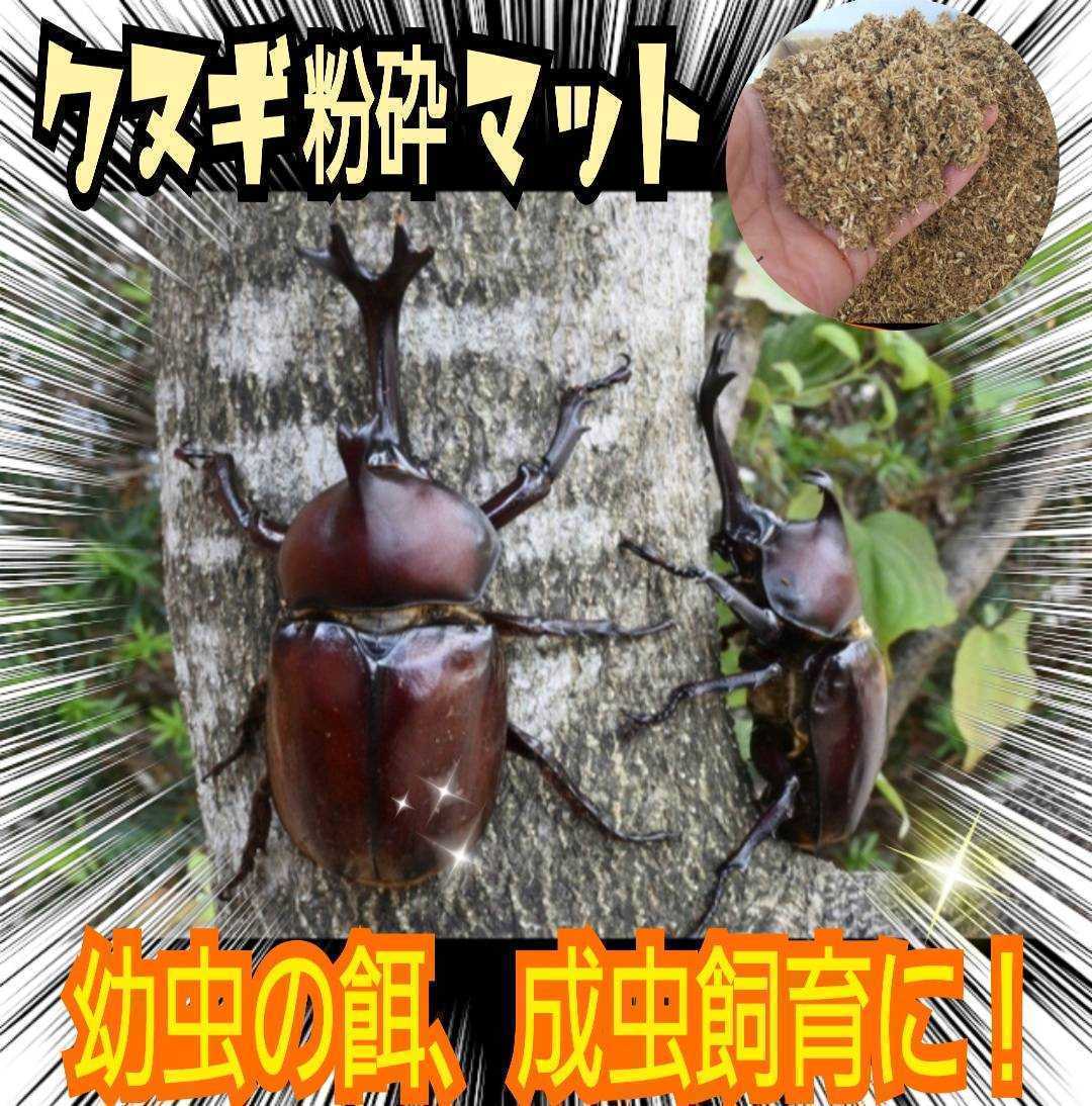 50個 KBファーム プロゼリー 昆虫ゼリー クワガタ カブト