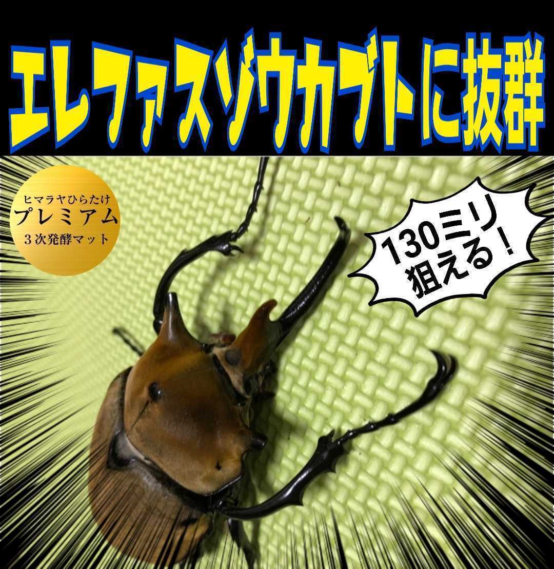 進化した！特選プレミアム3次発酵カブトムシマット微粒子特殊アミノ酸など栄養添加剤を３倍配合した究極のプロ仕様！産卵にも抜群です