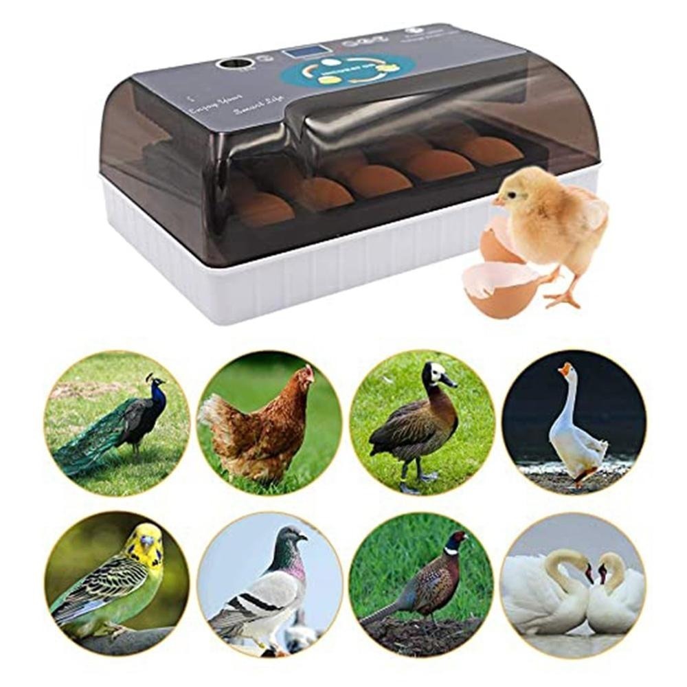 鶏 アヒル ガチョウ 高効率のLED照明用の64卵インキュベーター自動回転および孵化機 家庭用 鳥
